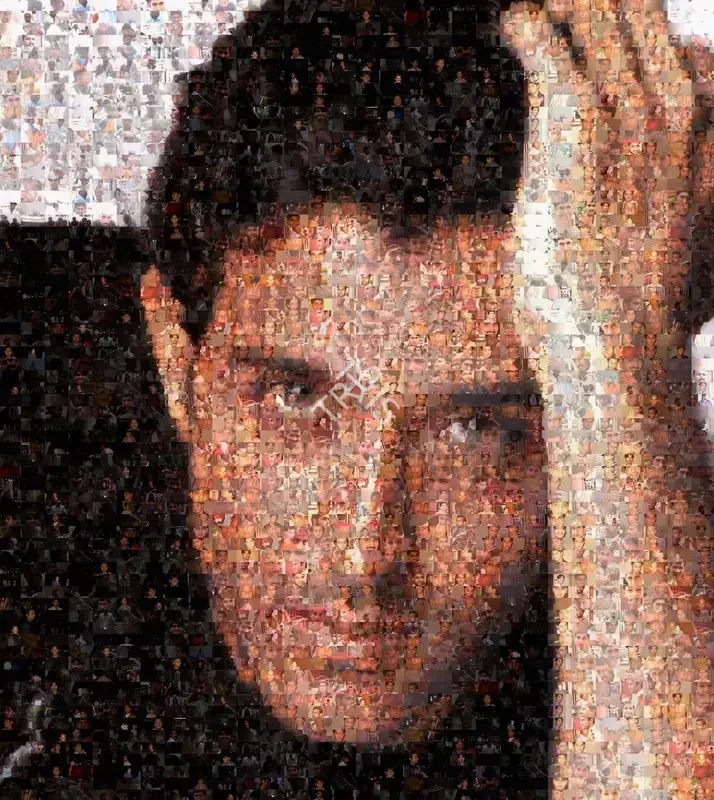 Rashid Rana (Artist), Ommatidia I (Hrithik Roshan), 2004, Print
