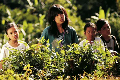 Riri Riza (Director), Dear Rena, 2005, Photographic Still