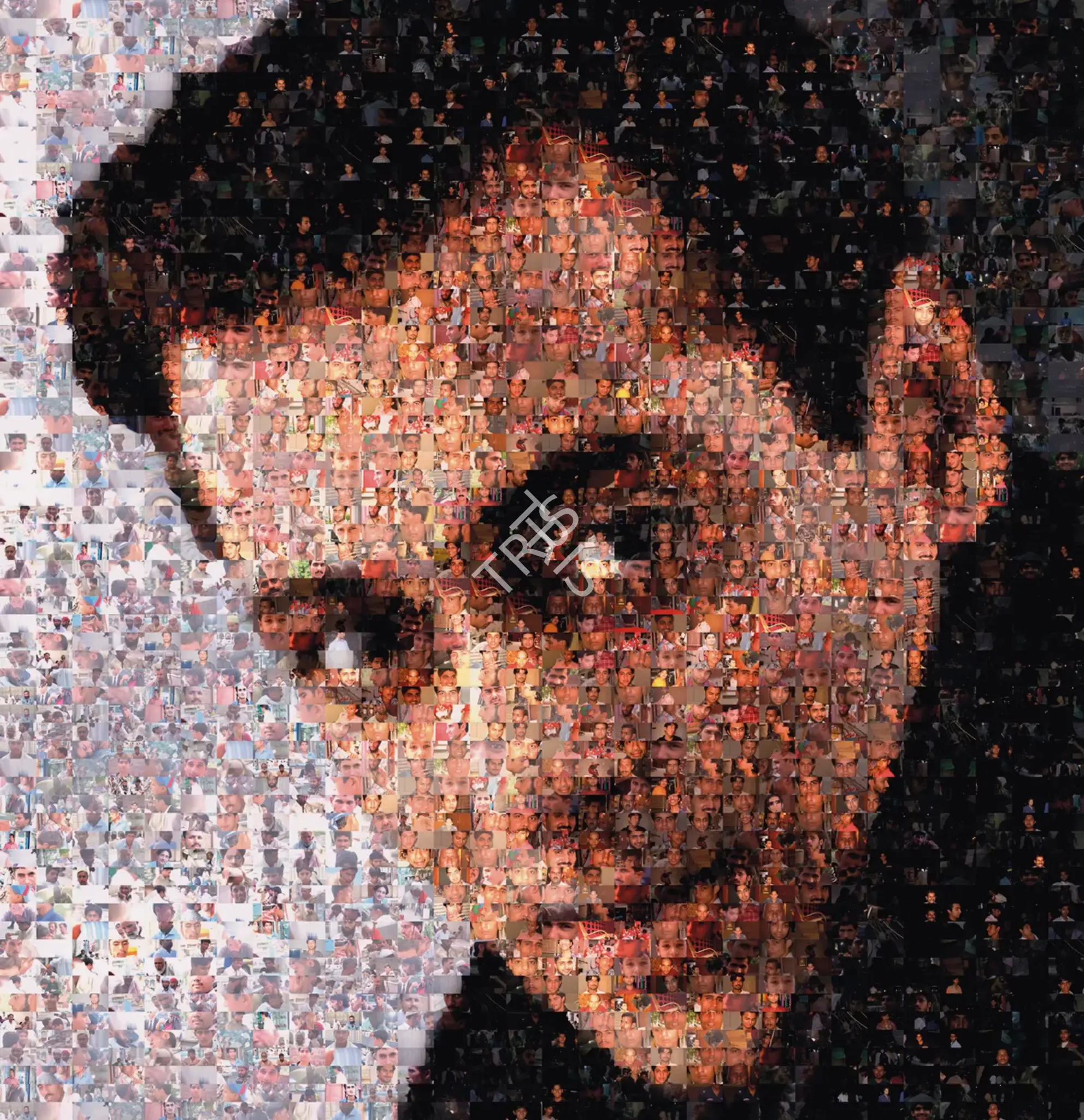 Rashid Rana (Artist), Ommatidia II (Salman Khan), 2004, Print