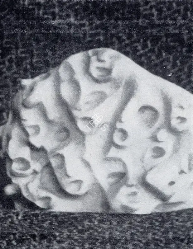 Amar Sehgal (Artist), Anguished Cries, Sculpture