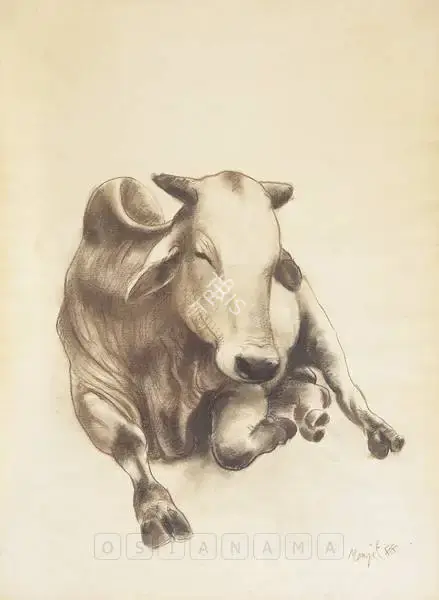 Manjit Bawa (Artist), Study Of Cow, 1988, Drawing