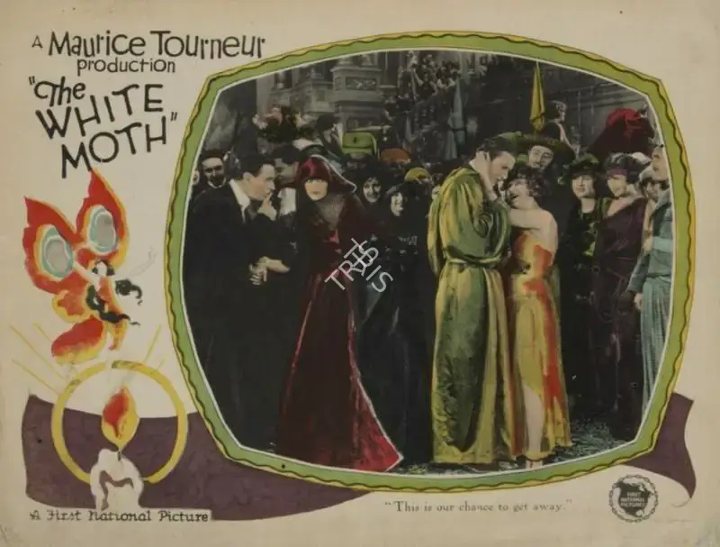 Maurice Tourneur (Director), The White Moth, 1924, Lobby card