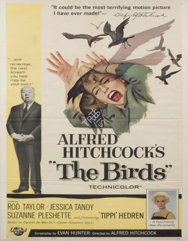 Alfred Hitchcock (Producer), The Birds, 1963, Lobby Card