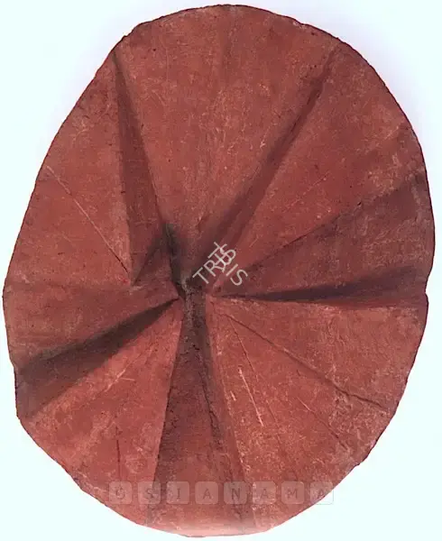 Zarina Hashmi (Artist), Lotus, 1982, Sculpture