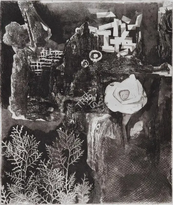 Somnath Hore (Artist), Birth of a White Rose, 1960, Graphic Art