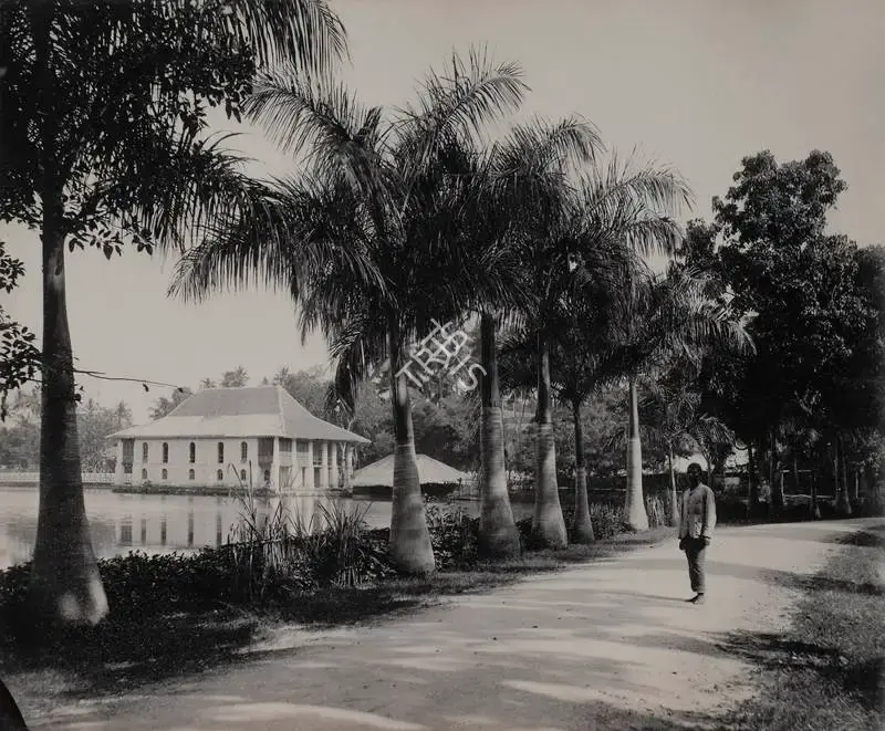 Unknown (Photographer), Untitled, 1901, Antiquarian Photograph