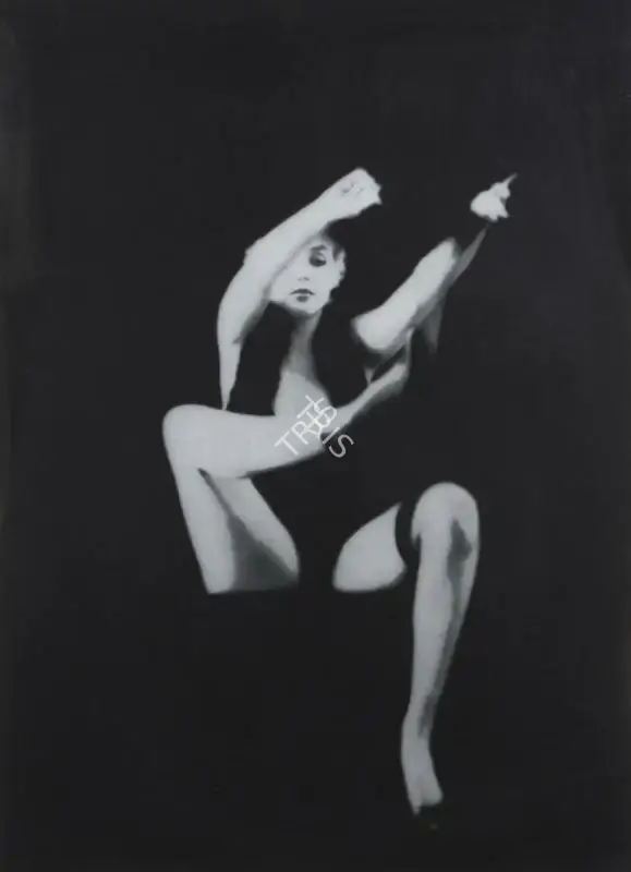 Milton H. Greene (Photographer), Marilyn Monroe, Photographic Still