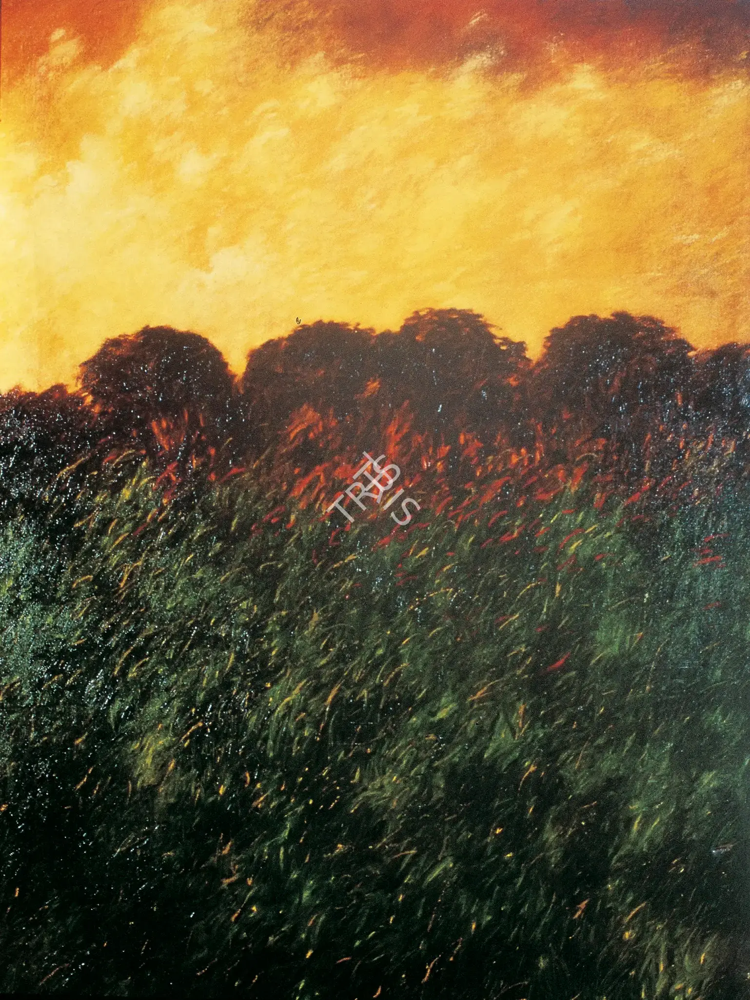Paramjit Singh (Artist), Sunset, 1978, Painting