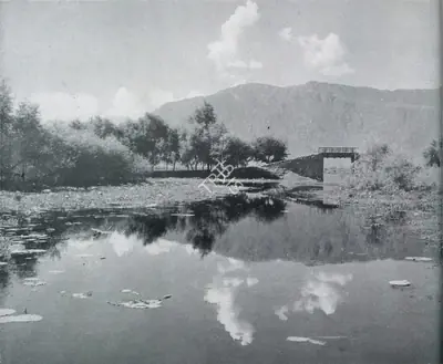 R.R. Bharadwaj (Photographer), The Bridge, Contemporary Photograph