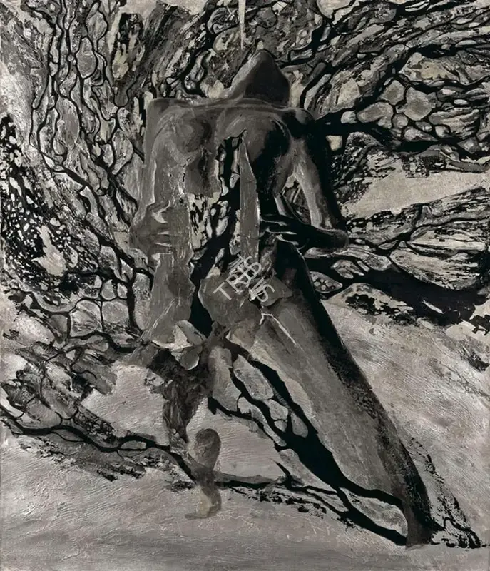 Anu Agarwal (Artist), Noctua, 2010, Painting