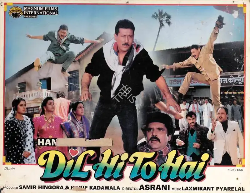 Samir Hingora (Producer), Dil Hi To Hai, 1993, Lobby Card