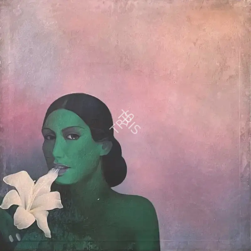 Bashir Mirza (Artist), Flower flower, Painting