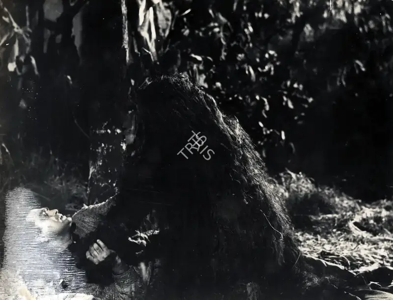 K.H. Kapadia (Cinematographer), Yeh Rastey Hain Pyar Ke, 1963, Photographic Still
