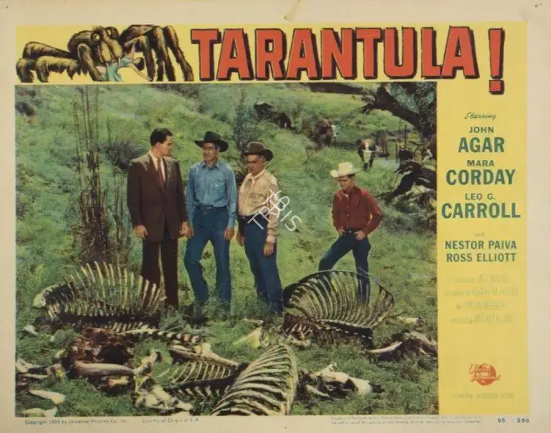 George Robinson (Cinematographer), Tarantula, 1955, Lobby Card
