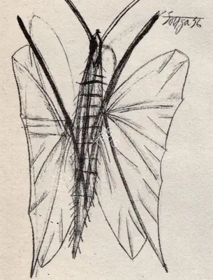 F.N. Souza (Artist), Insect, 1956, Drawing