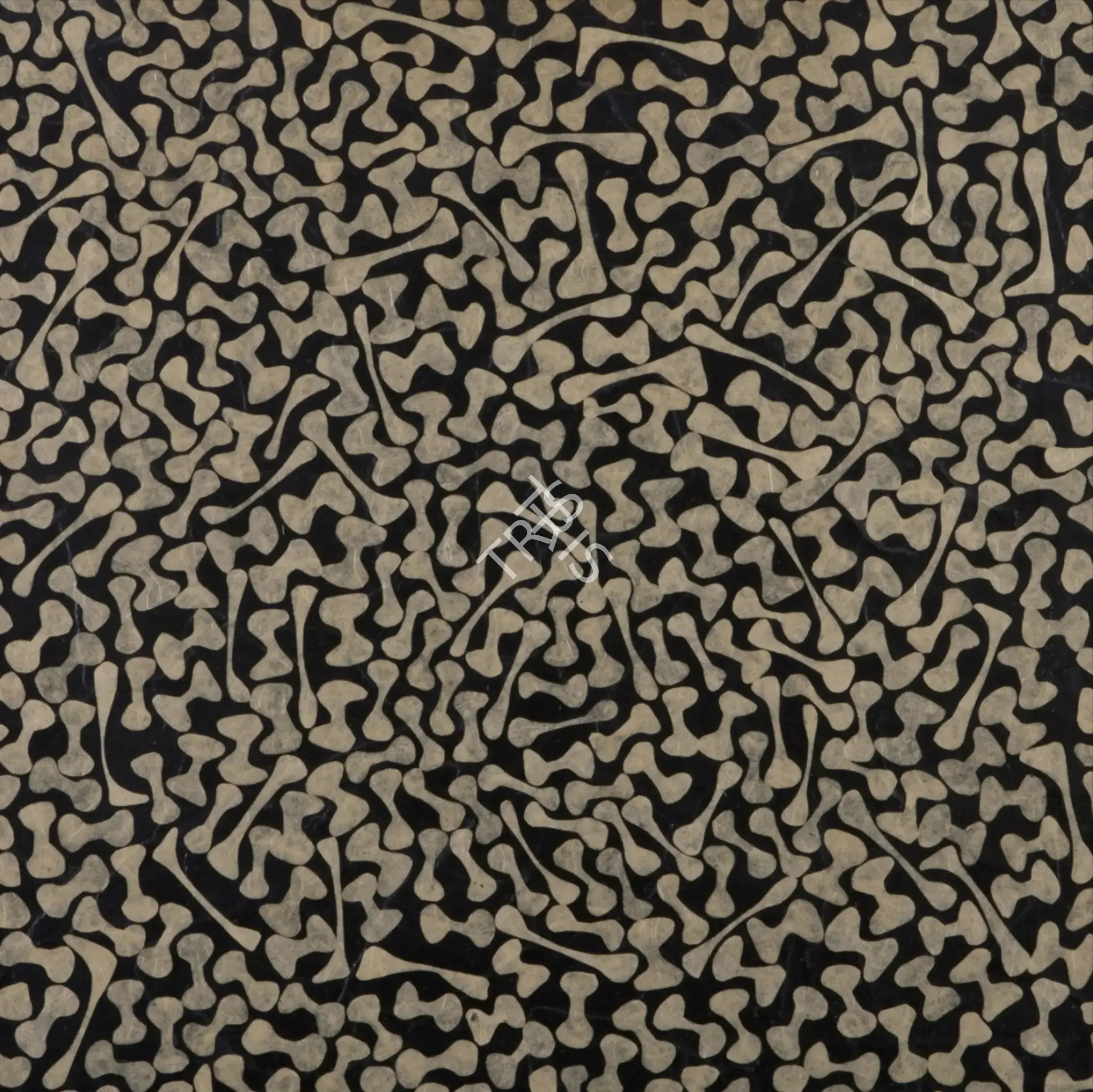 Manisha Parekh (Artist), Mindscape Black-1, 2007, Drawing