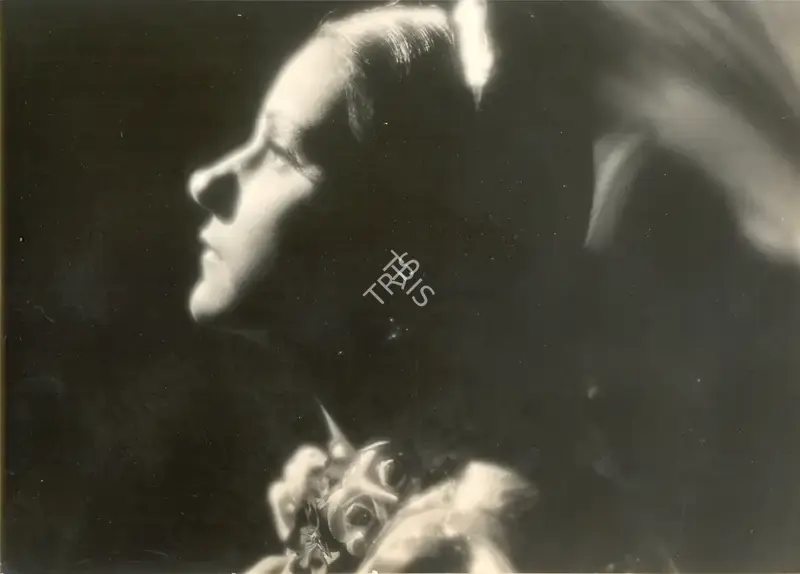 Nandlal Jashwantlal (Cinematographer), Bambai Ki Billi, Photographic Still