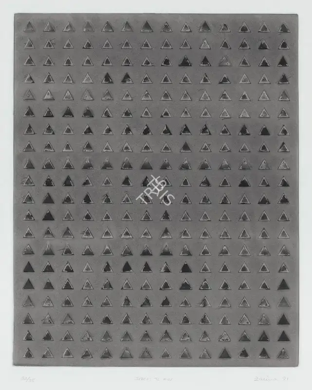 Zarina Hashmi (Artist), Spaces to Hide, 1981, Graphic Art