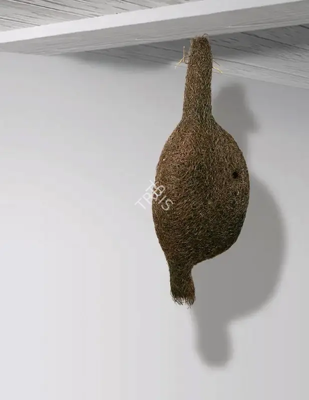 Vibha Galhotra (Artist), Missing, 2007, Sculpture
