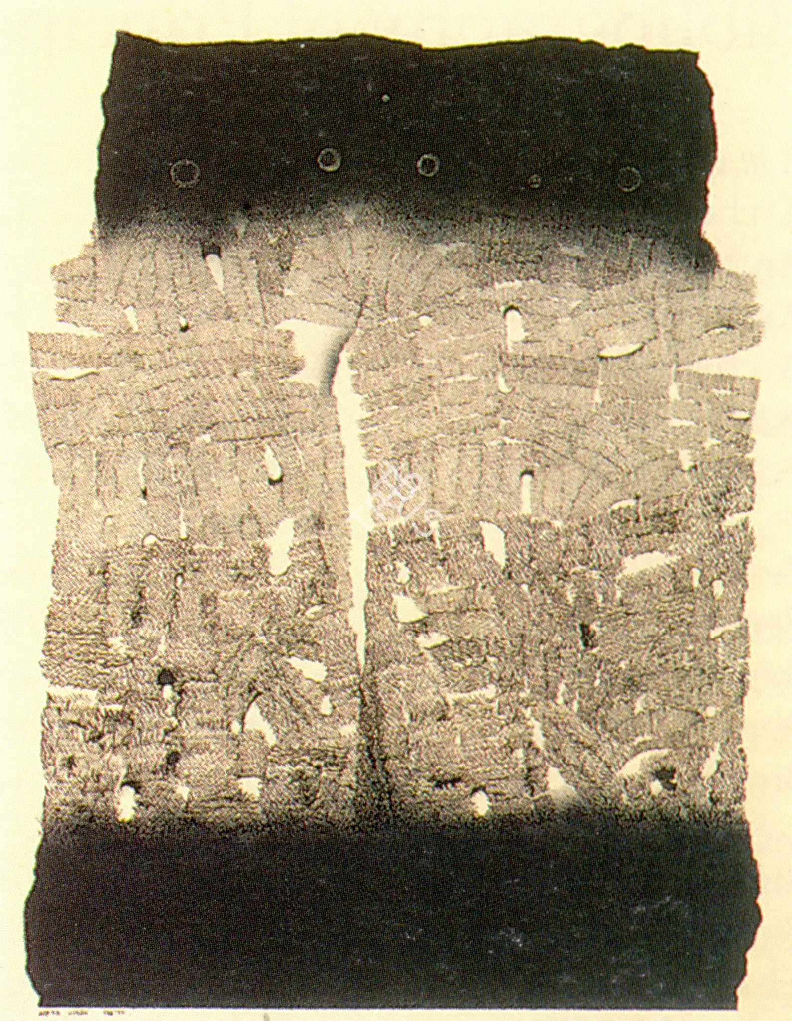 Arpita Singh (Artist), Sweater, 1977, Drawing