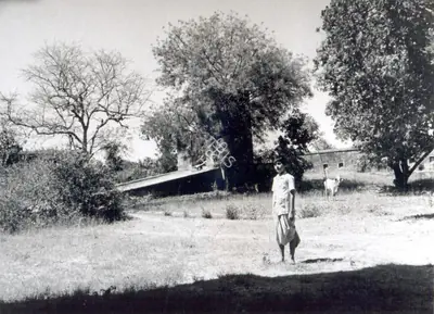 Subrata Mitra (Cinematographer), Aparajito, 1956, Photographic Still