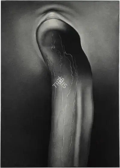 Rameshwar Broota (Artist), Metamorphosis- (III), 1985, Painting
