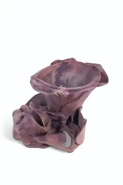Mrinalini Mukherjee (Artist), Untitled, 1995, Sculpture