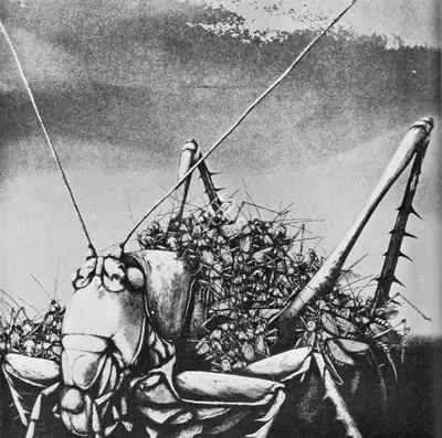 Per Svensson (Artist), Battle II, 1969, Graphic Art
