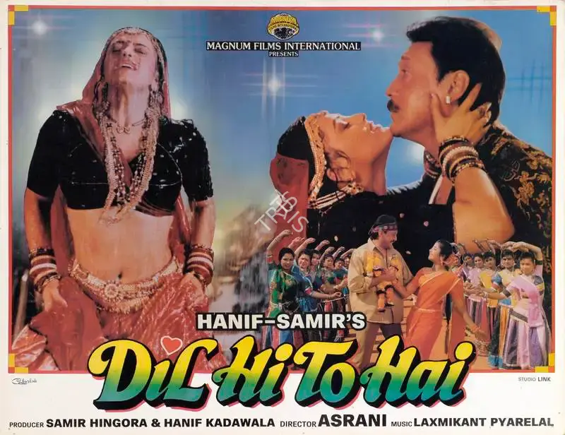Samir Hingora (Producer), Dil Hi To Hai, 1993, Lobby Card