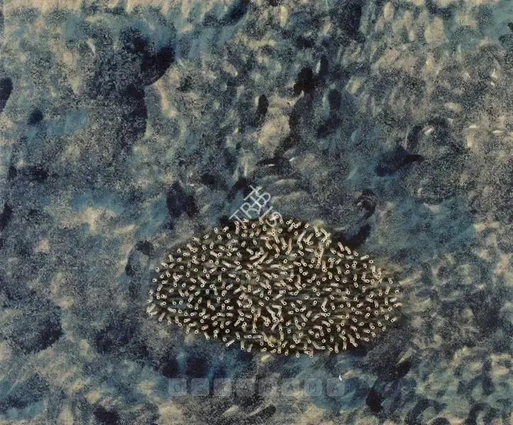 Manisha Parekh (Artist), Budding 4, 2004, Painting