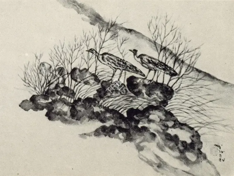 Nandalal Bose (Artist), Peacocks, 1959, Painting