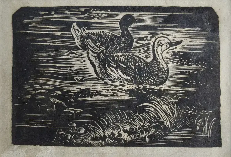 Chakravorty, Ramendranath (Artist). Untitled (Pair of Ducks), n.d. | Print, Pr.Mum/08.01.26, 2026 · Prinseps