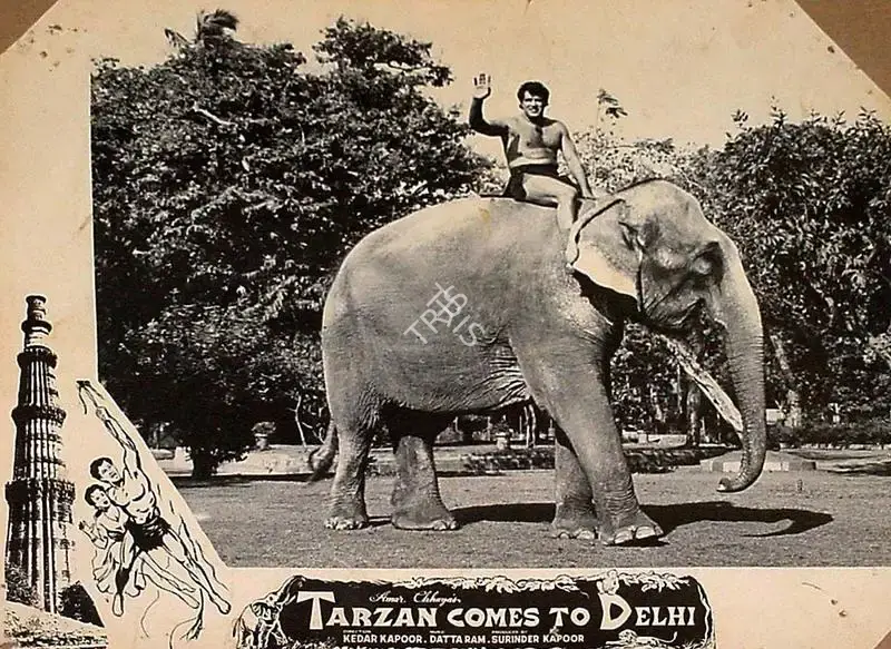 Surinder Kapoor (Producer), Tarzan Delhi Me, 1965, Lobby Card