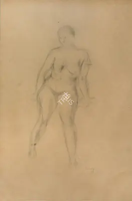 Akbar Padamsee (Artist), Nude, 1966, Drawing