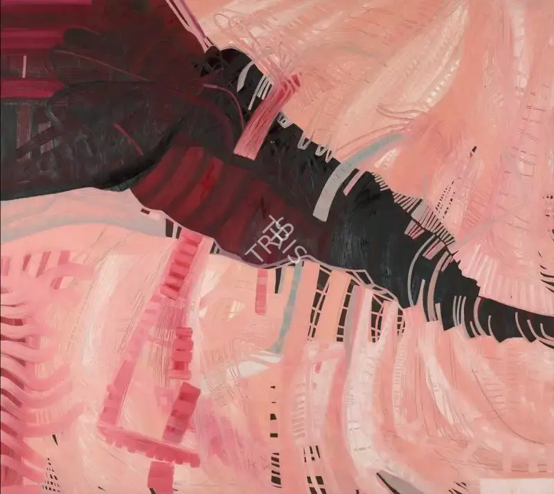 Sheila Makhijani (Artist), What Were You Thinking, 2007, Painting