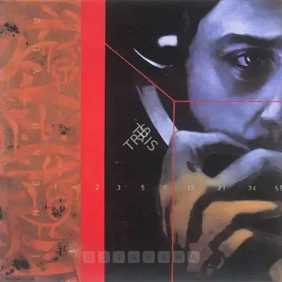 Baiju Parthan (Artist), I Hear You (2), 2004, Painting