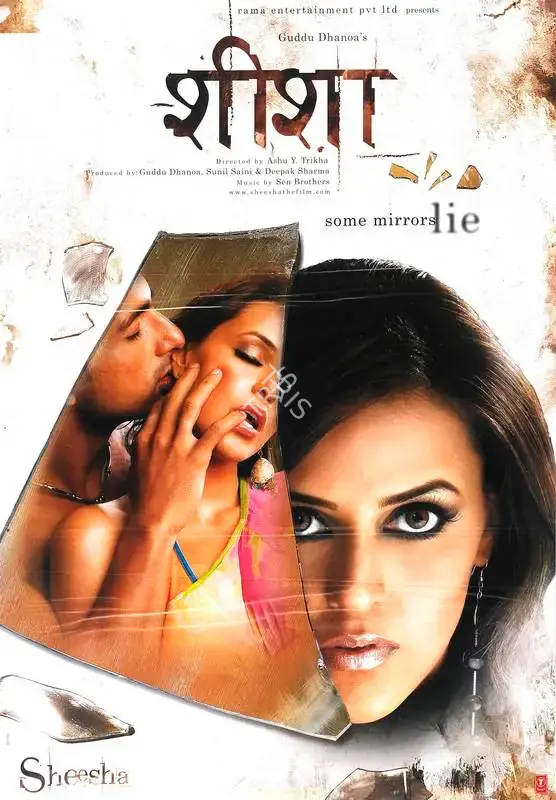 Guddu Dhanoa (Producer), Sheesha, 2005, Full Sheet Poster