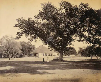 Samuel Bourne (Photographer), An Indian Compund and Bungalow -Umballa, 1865, Antiquarian Photograph