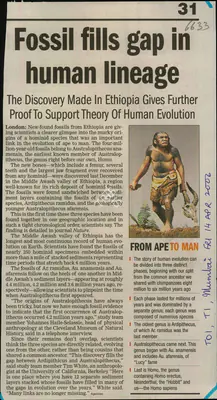 Fossil fills gap in Human Lineage, 2006, Newspaper Clipping
