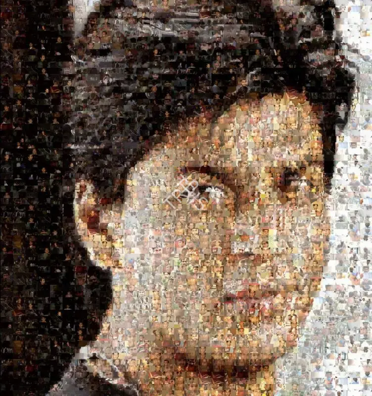 Rana, Rashid (Artist). Ommatidia III (Shah Rukh Khan), 2004-2005 | Print, Sa.Onl/10.12.20, 2020 · Saffronart