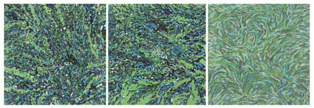 Bharti Kher (Artist), Landscape, 2007, Collage