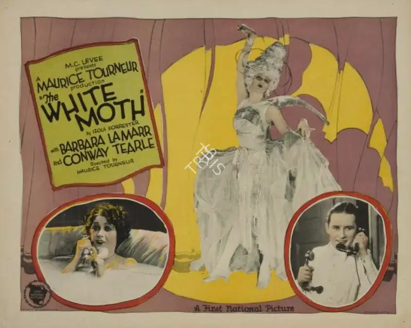 Maurice Tourneur (Director), The White Moth, 1924, Lobby card