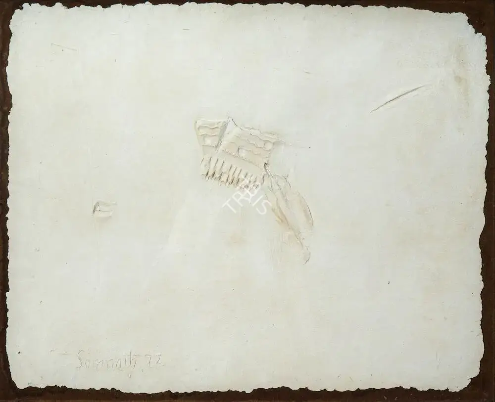 Hore, Somnath (Artist). Wounds - 19, 1972 | Print, AG.Onl/28.10.23, 2023 · Asta Guru