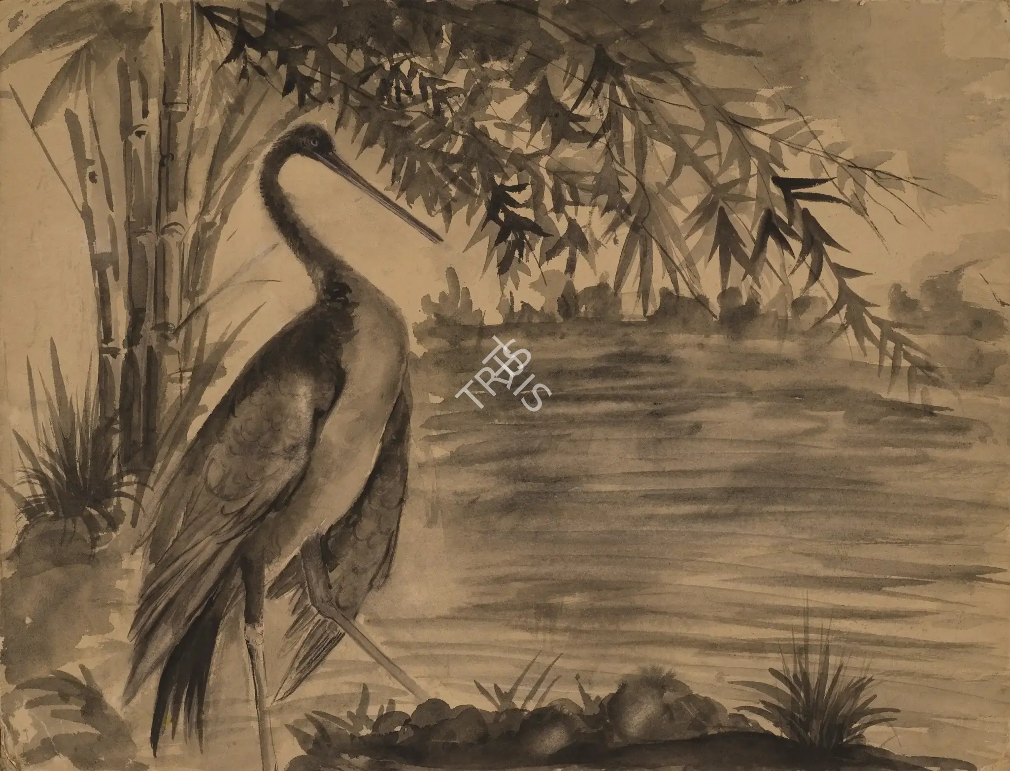 Roy Chowdhury, D.P. (Artist). Crane Series, n.d. | Painting, Os.Mum/21.06.12, 2012 · Osian's