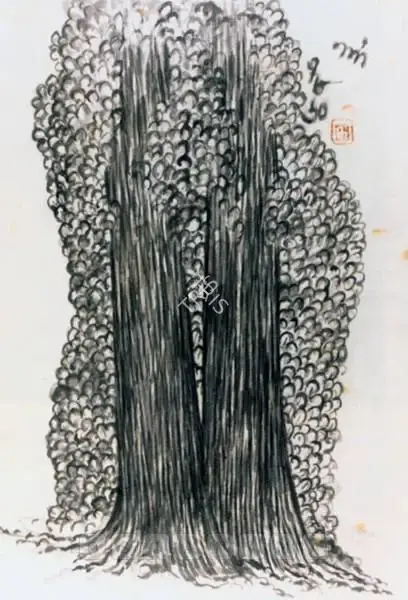 Nandalal Bose (Artist), Untitled (Two Shal Trees), 1959, Drawing