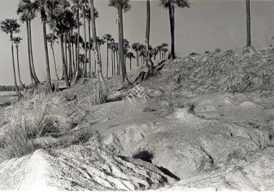 Soumendu Roy (Cinematographer), Inner Eye, The, 1972, Photographic Still