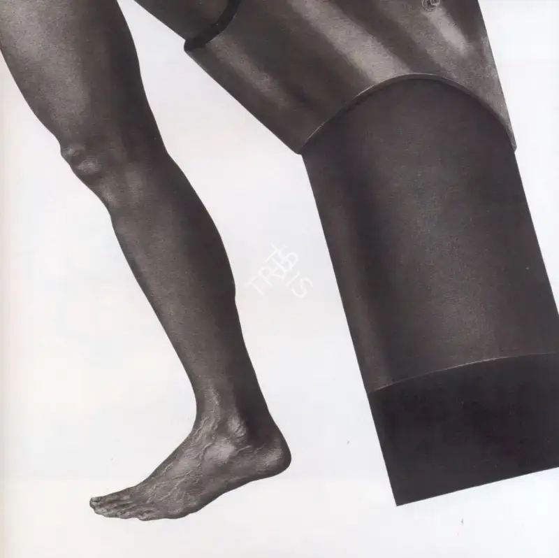 Rameshwar Broota (Artist), Untitled, 2007, Painting