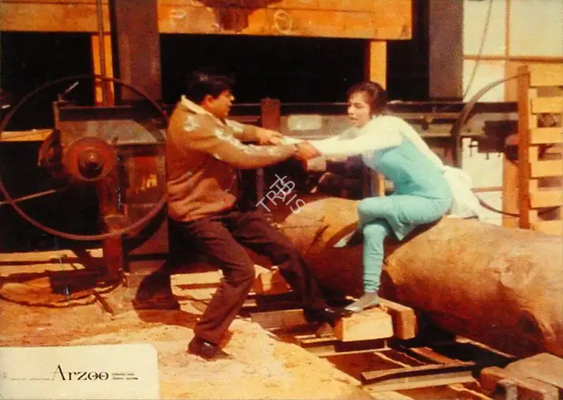 Ramanand Sagar (Producer), Arzoo, 1965, Lobby Card