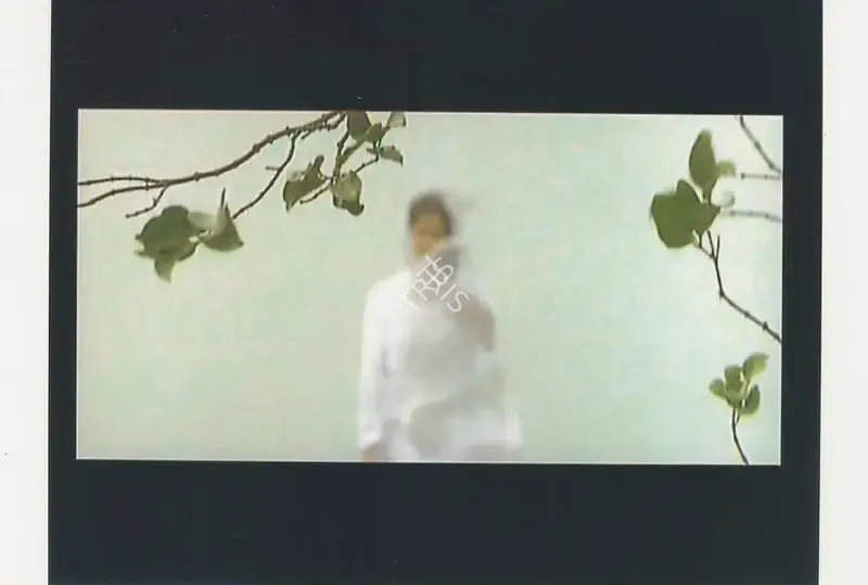 G.Ranganath Babu (Cinematographer), Narmeen, 2008, Photographic Still