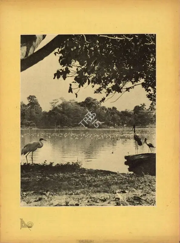 Aveek Sarkar (Editor), Sunday, 1974, Magazine